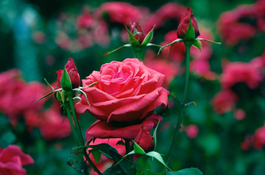 657129 (a): :2600x1720